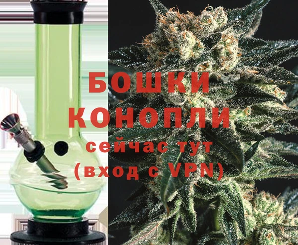 прущие грибы Навашино