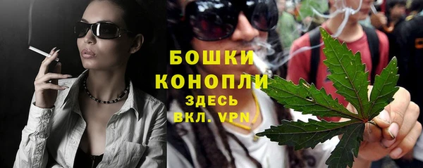 прущие грибы Навашино