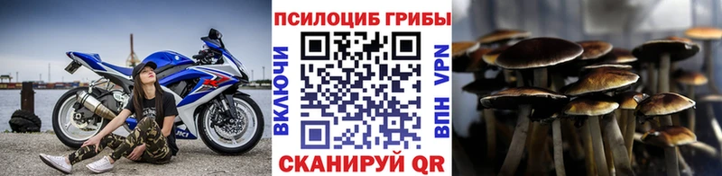 продажа наркотиков  Велиж  Галлюциногенные грибы MAGIC MUSHROOMS 